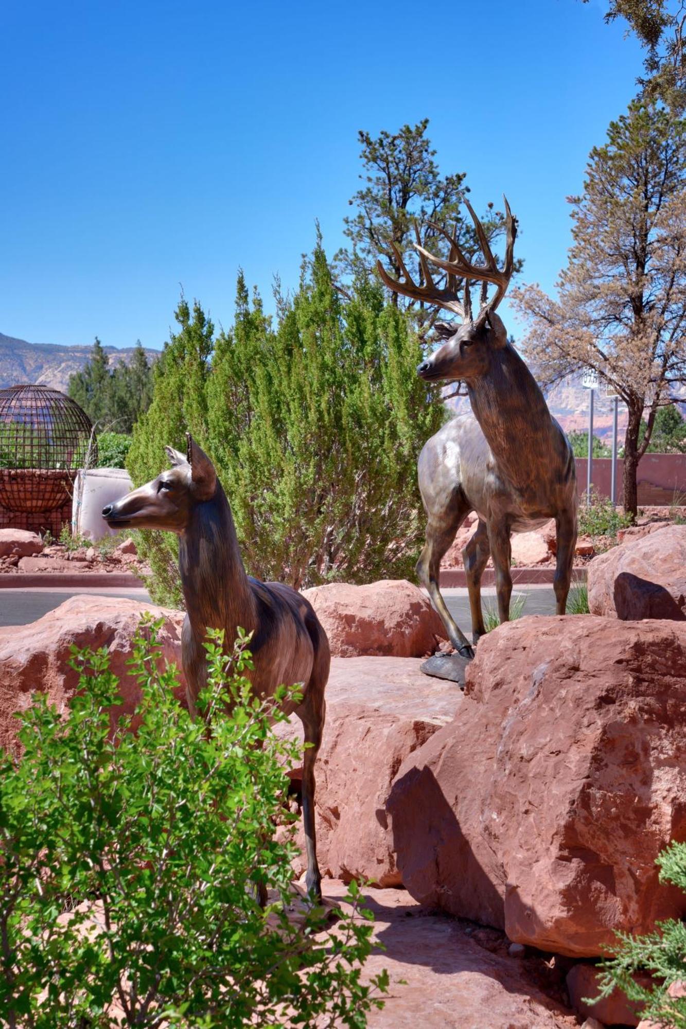 Residence Inn By Marriott Sedona Exterior foto