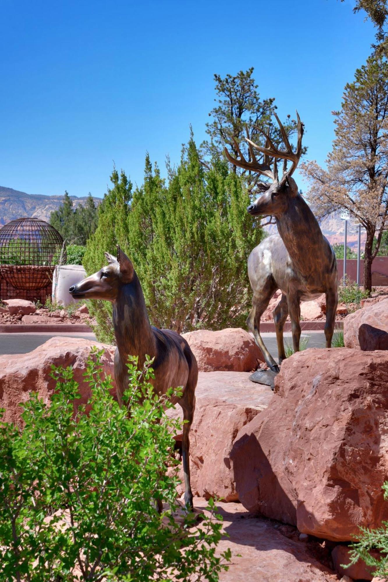 Residence Inn By Marriott Sedona Exterior foto